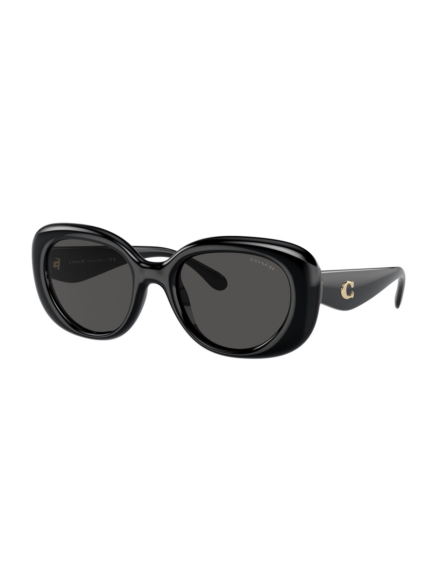 

Солнцезащитные очки COACH Sunglasses SPRITZGUSS, черный