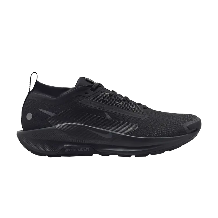 

Кроссовки Pegasus Trail 5 GORE-TEX, цвет Black Anthracite