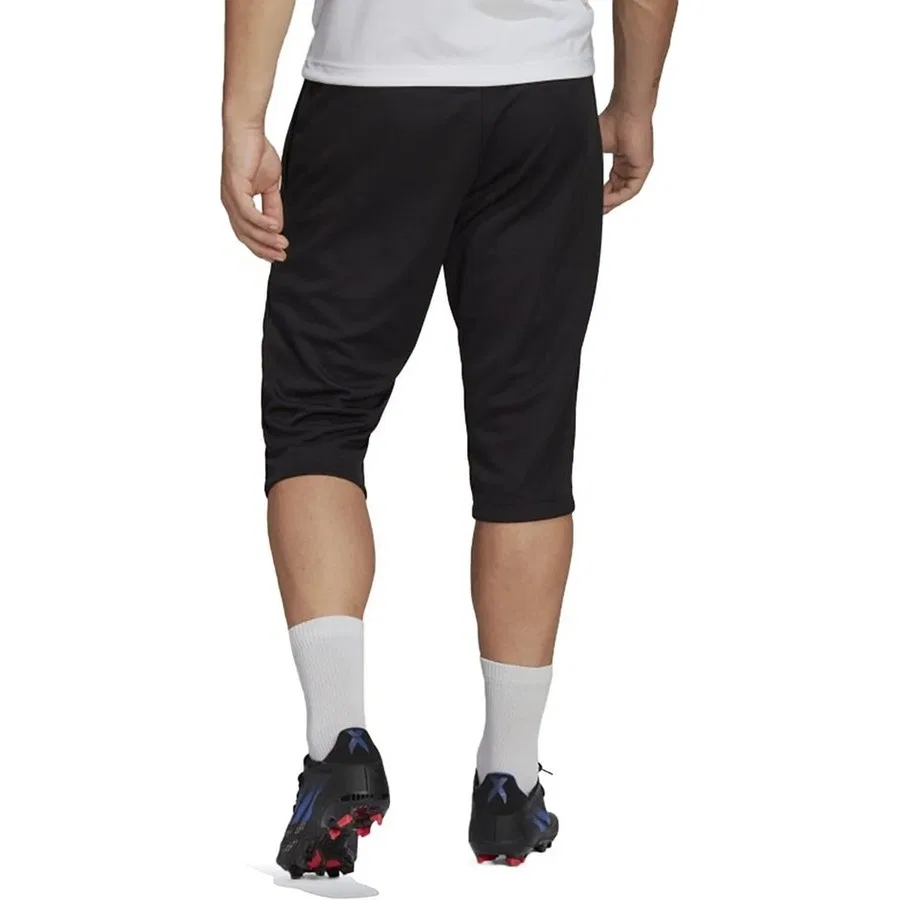 Спортивные штаны adidas ENT22 3/4 Pnt, Черный