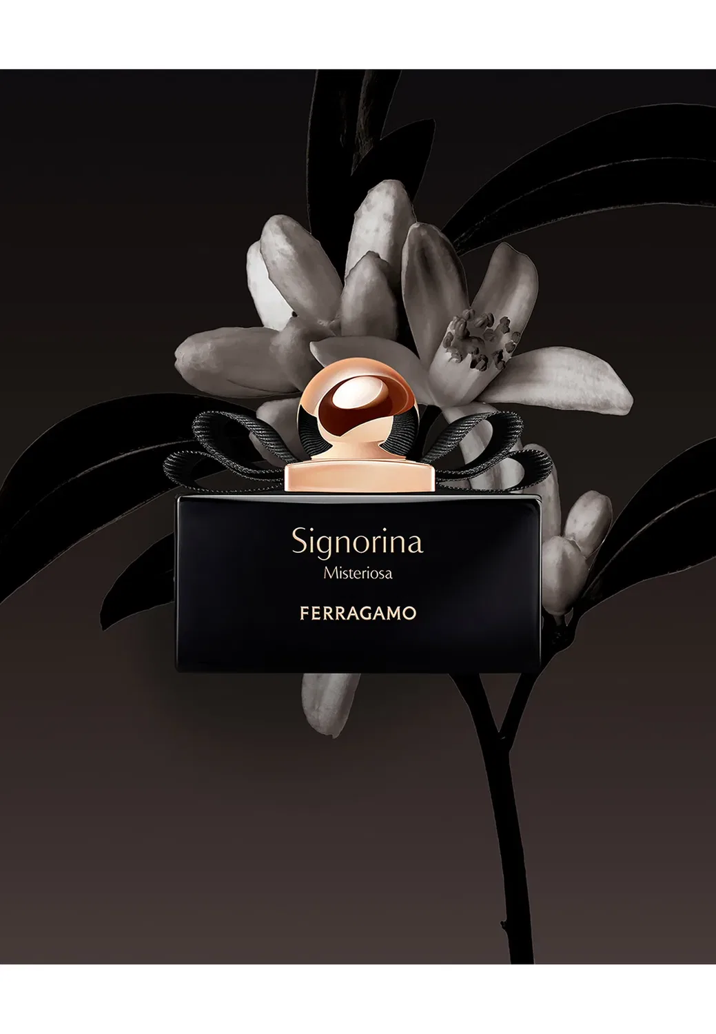Подарочный набор Signorina misteriosa (парфюмерная вода + лосьон для тела) - набор ароматов Ferragamo Fragrances, One Size — фото 4