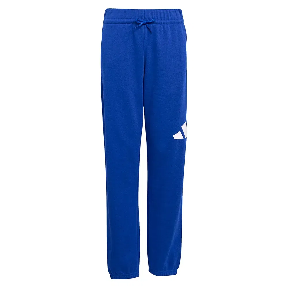 Брюки Adidas Essentials joggers, синий