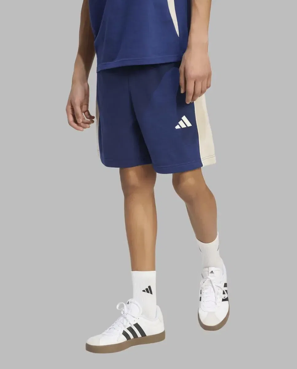 Мужские шорты с цветовыми блоками Essentials Seasonal adidas, Синий