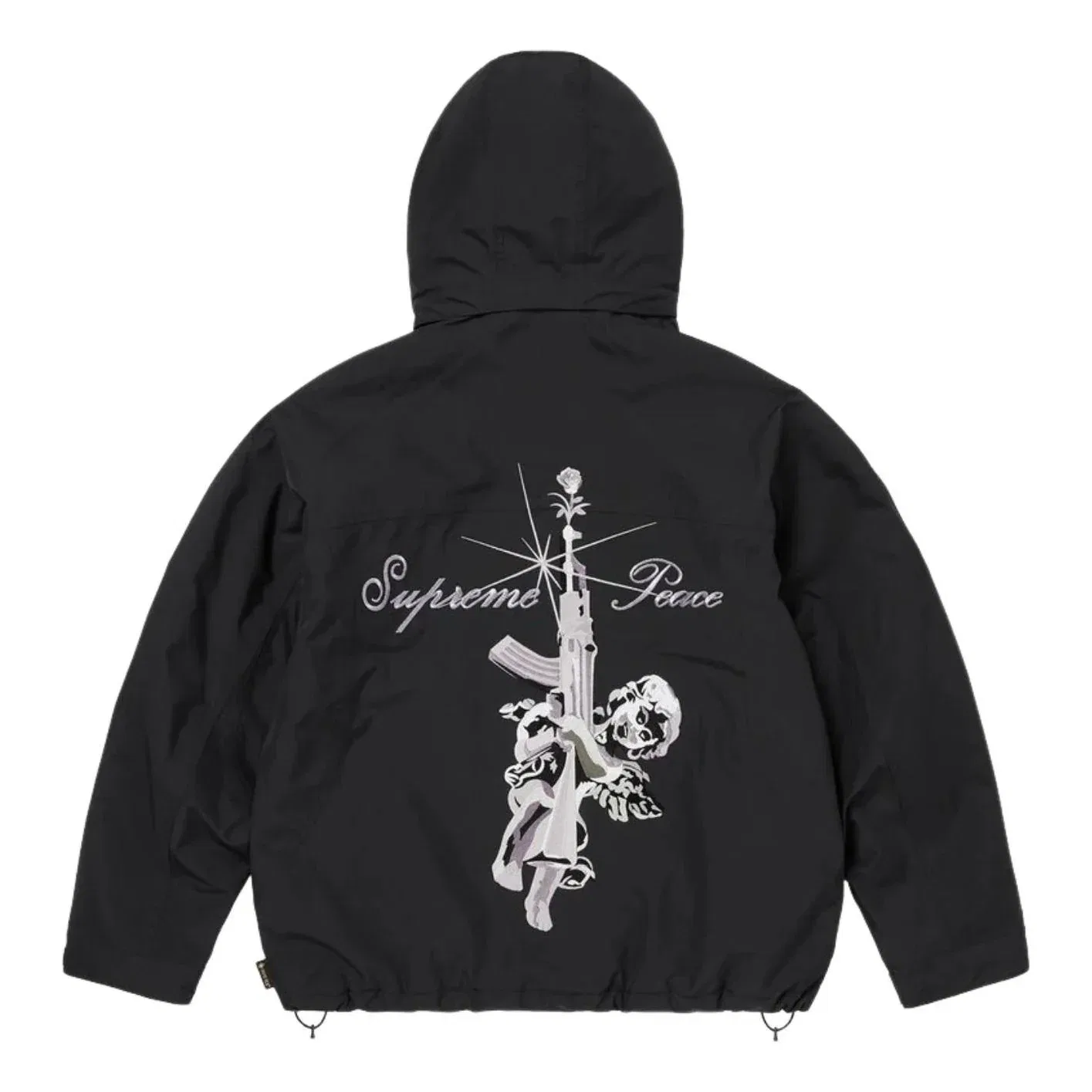 Мужская куртка FW26 AOI GORE-TEX Hooded Jacket 'Black' Supreme, черный