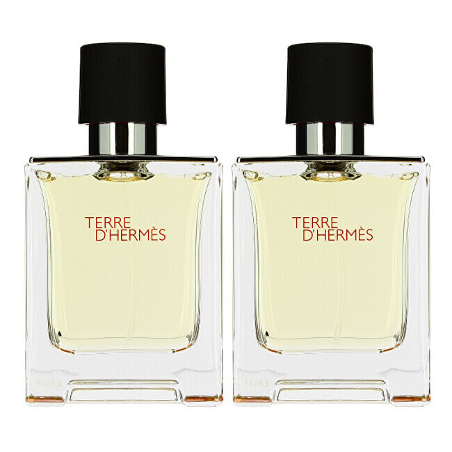 

Парфюмерный набор Hermès Terre D'Hermes, 2 предмета
