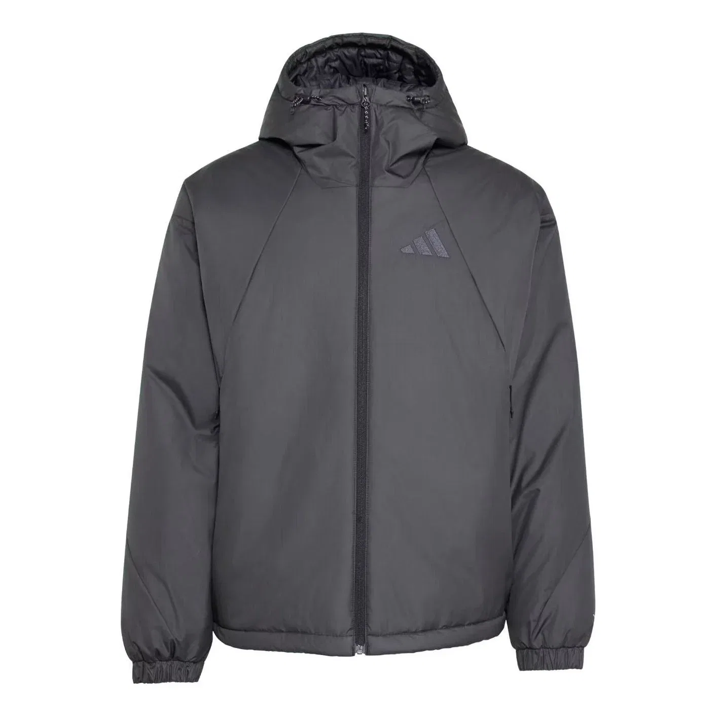 Мужская куртка Terrex Multi PrimaLoft Insulated Hooded Jacket Asia Sizing 'Black' adidas, черный