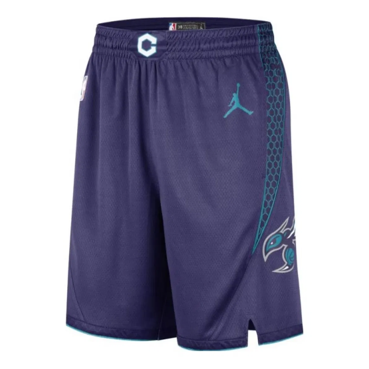 Шорты баскетбольные с принтом Charlotte Hornets Jordan, фиолетовый