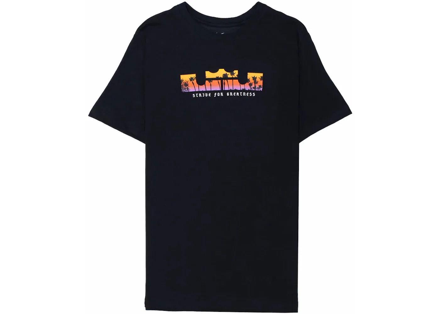 Мужская футболка с логотипом Nike LeBron Logo Dri-Fit T-shirt Nike, Black