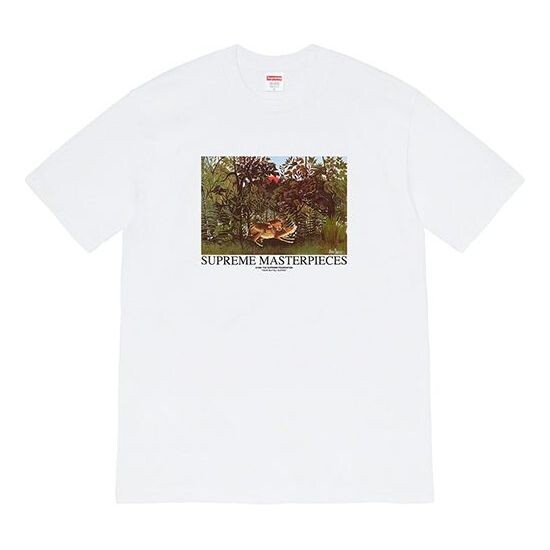 

Футболка landscape printing short sleeve white Supreme, белый
