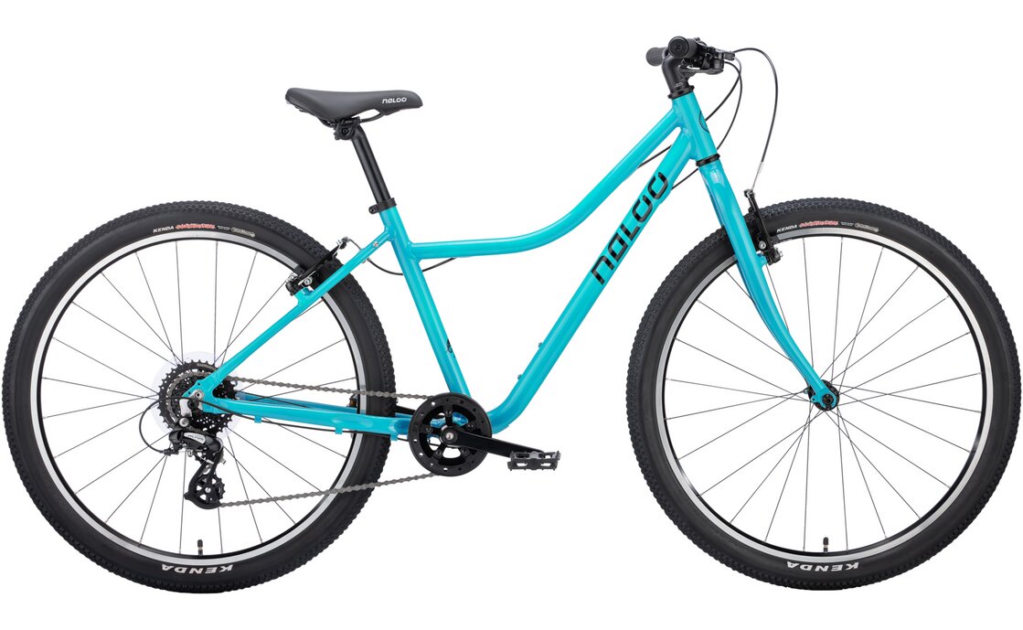 

Горный велосипед Naloo Chameleon 26" MK2 - 26 дюймов - Diamant - 2023, цвет Türkis|turquoise