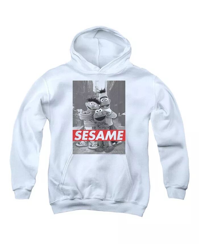 

Толстовка с капюшоном Youth Sesame Sesame Street, белый