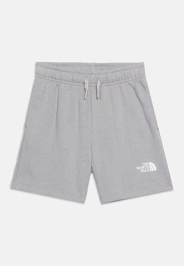 Простые спортивные шорты для подростков с купольной крышей The North Face, Meld Grey