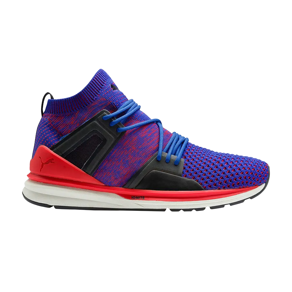 Кроссовки Blaze of Glory Limitless EvoKnit Hi Puma, фиолетовый