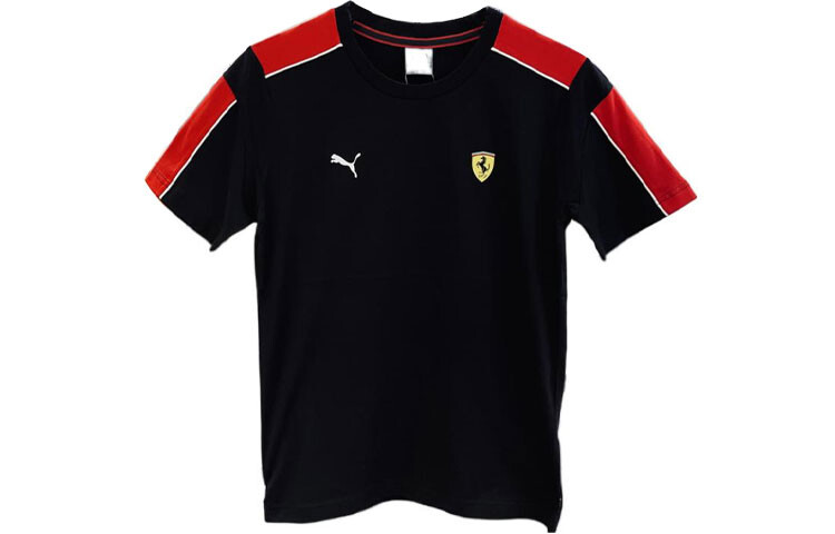 

Мужская футболка Puma, цвет Black