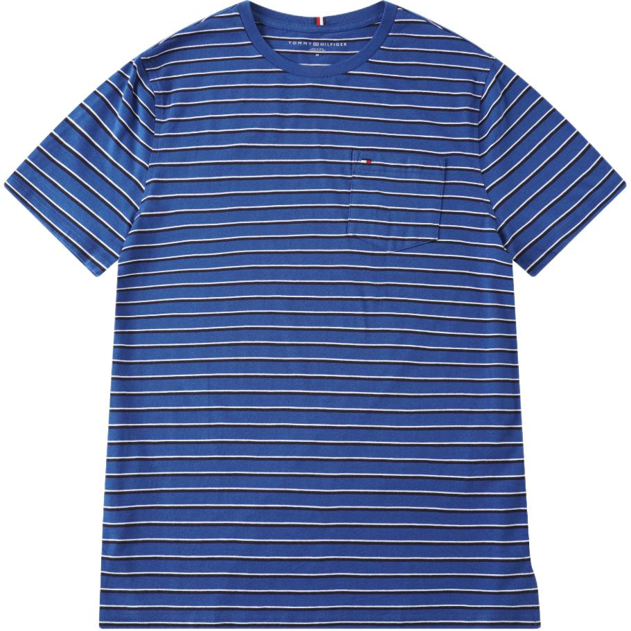 

Футболка SS25 мужская Tommy Hilfiger, синий