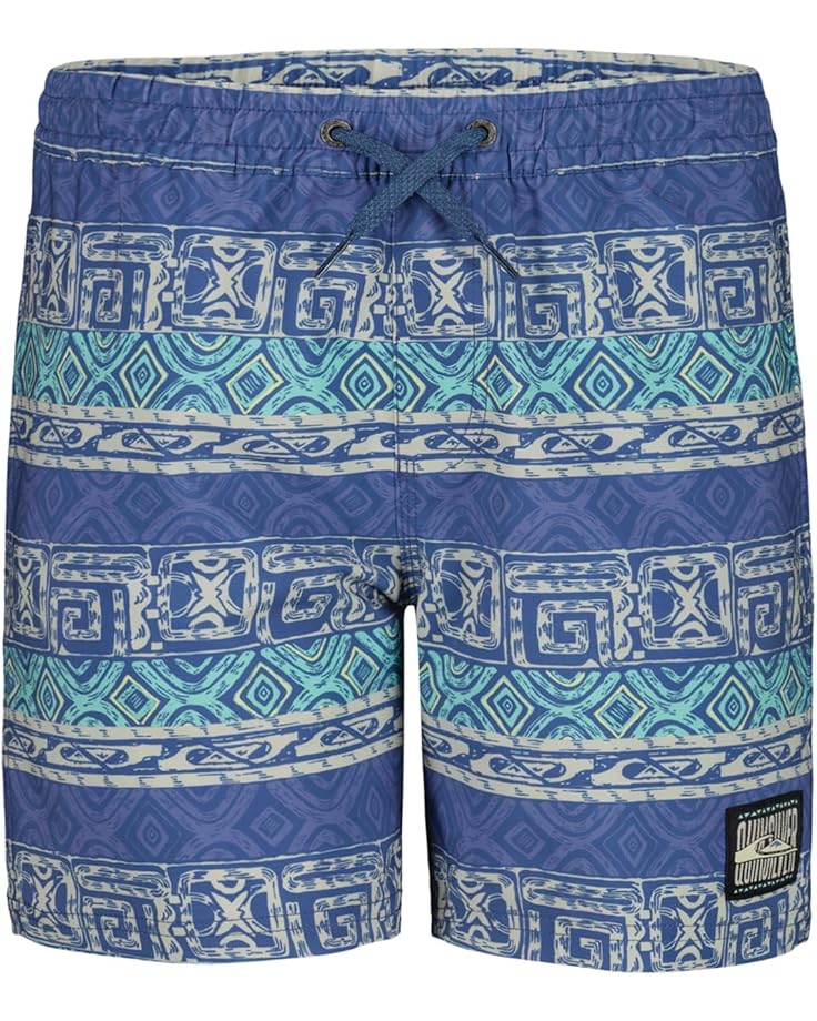 

Шорты Quiksilver Kids Surfsilk Global Volley, синий