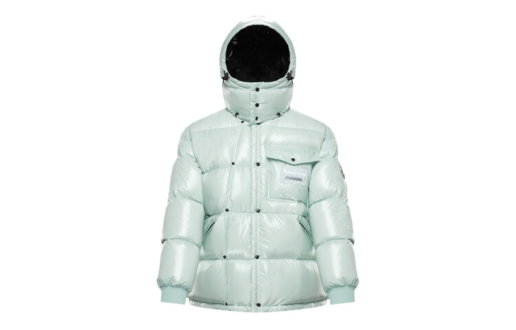 

Пуховик мужской светло-зеленый Moncler