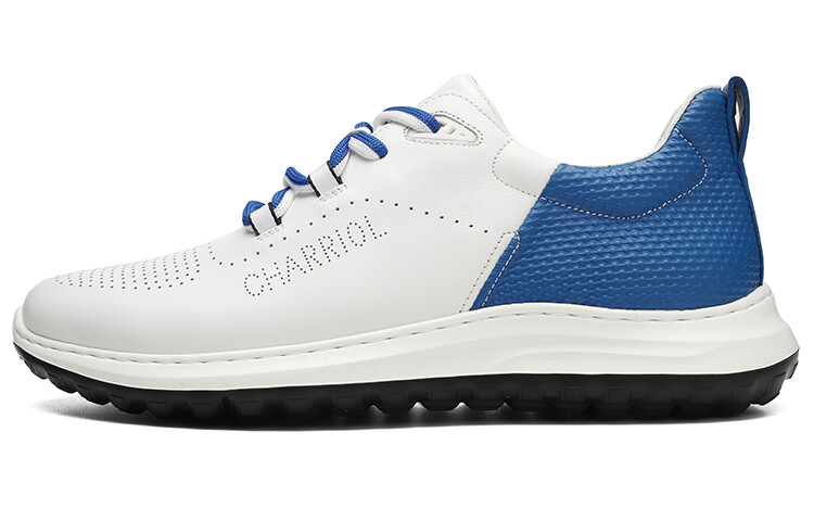 

Туфли Men"s Casual Men Low-Top белый Charriol
