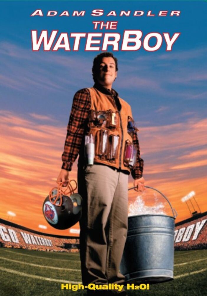 

Диск DVD The Waterboy