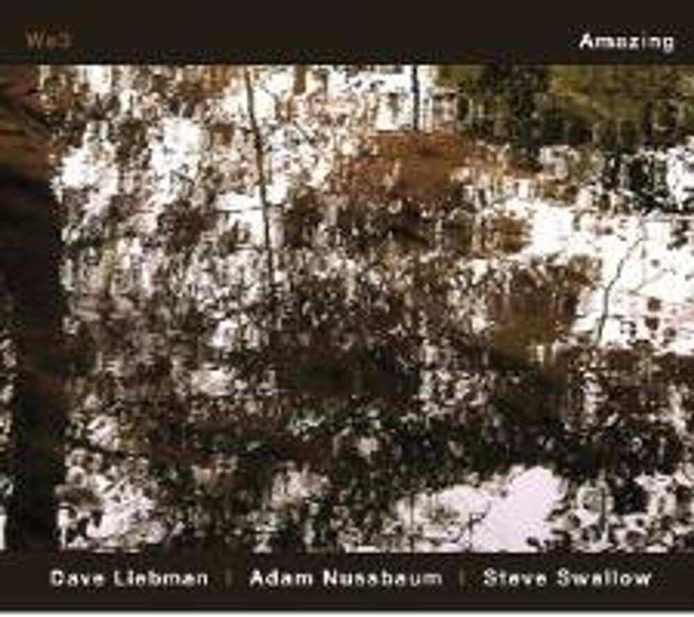 

Диск CD Amazing - Dave Liebman, Adam Nussbaum, Steve Swallow