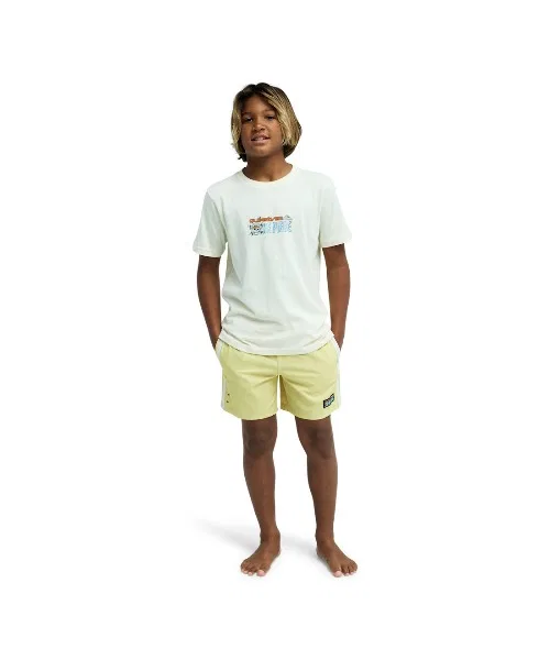 Детская футболка Quiksilver OPQS PIRATES ISLAND SS YOUTH — фото 2