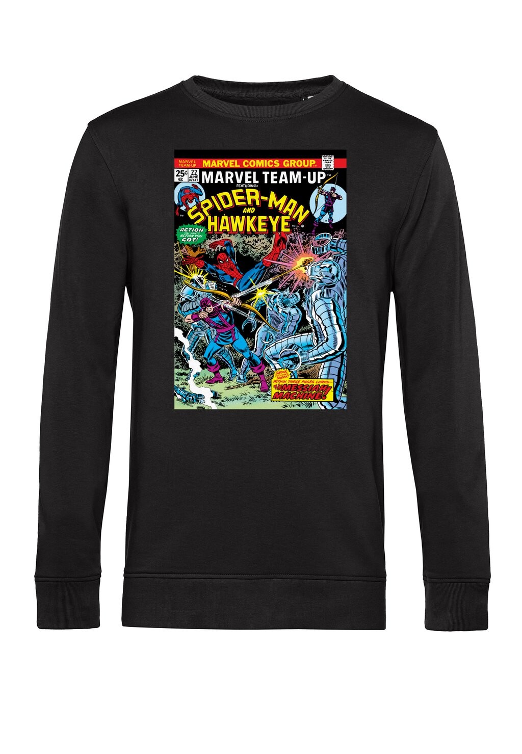

Толстовка AVENGERS CLASSIC SPIDEY & HAWKEYE Marvel, черный