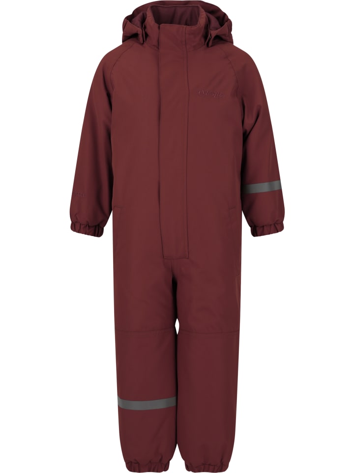 

Лыжные штаны Zigzag, цвет 4132 tawny port