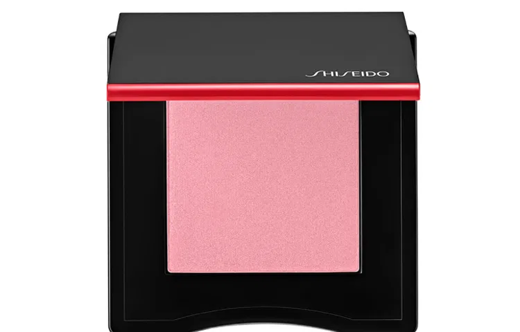 Румяна Monochrome Blush Correcting Skin Tone SHISEIDO 4g — фото 3