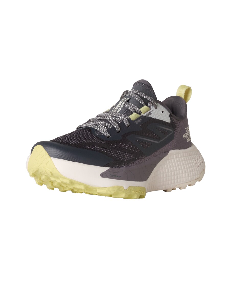 Кроссовки THE NORTH FACE Altamesa 500, Black