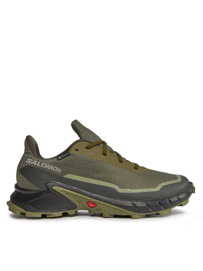 

Кроссовки Alphacross 5 Gtx GORE-TEX 473103 29 W0 Salomon, зеленый