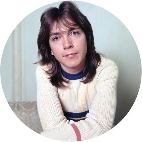 

Виниловая пластинка Cassidy, David - I Think I Love You - Greatest Hits Live