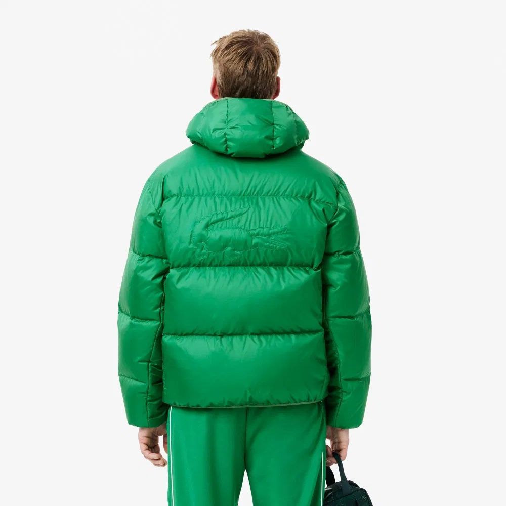 Мужской пуховик с капюшоном зелёного цвета от Lacoste — фото 3
