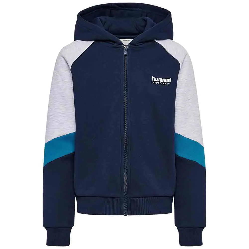 

Толстовка Hummel Loose Blocked на молнии, синий