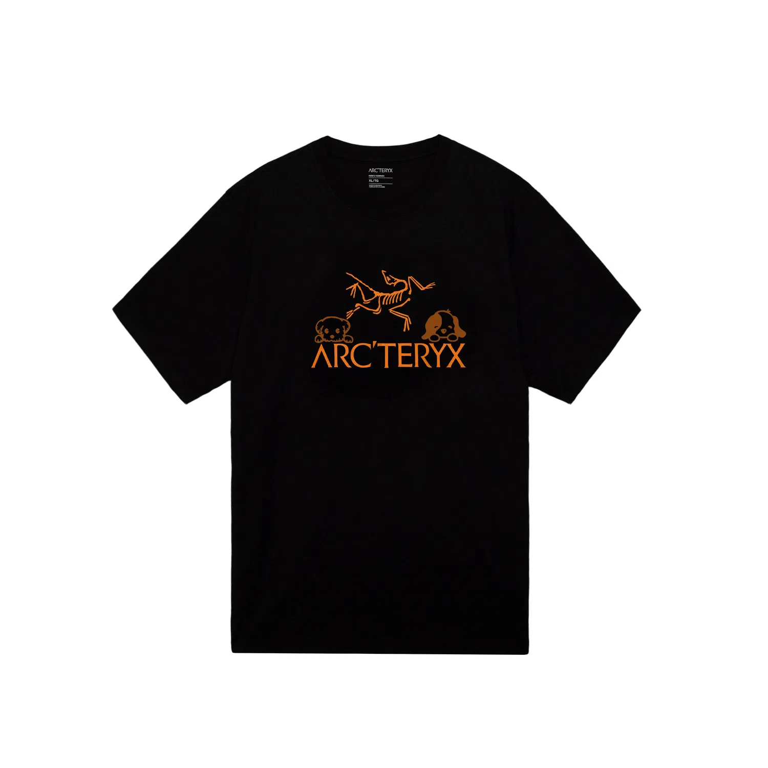 Футболка с логотипом Arcteryx IONIA, черный