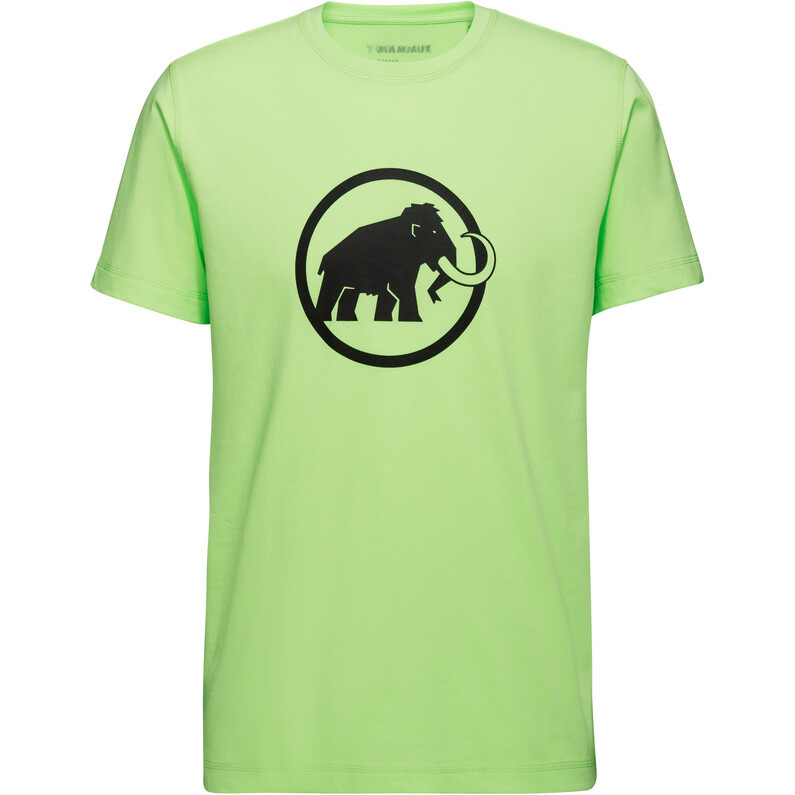 

Мужская классическая футболка Core Mammut, зеленый