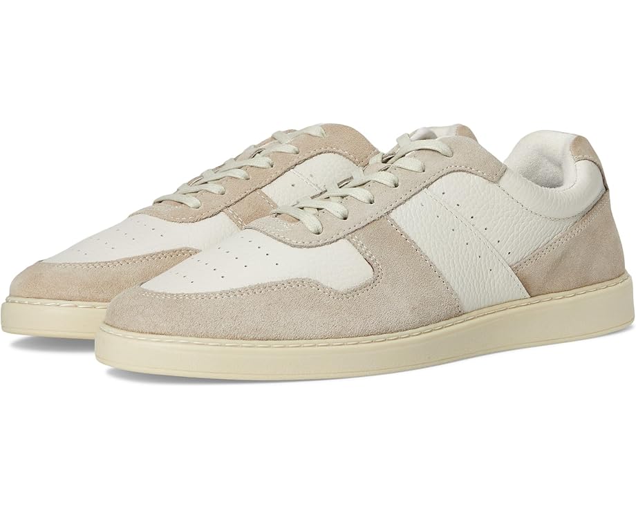 

Кроссовки Steve Madden Jerro, цвет White / Beige
