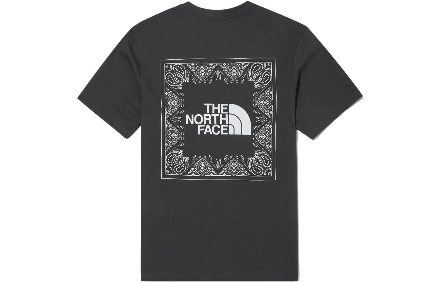 

THE NORTH FACE Мужская футболка, серый