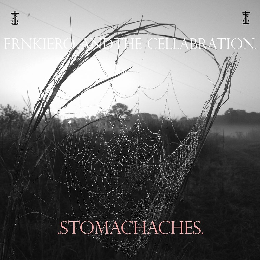 

Виниловая пластинка LP .Stomachaches. - Frnkiero Andthe Cellabration.