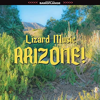 

Виниловая пластинка Lizard Music: Arizone