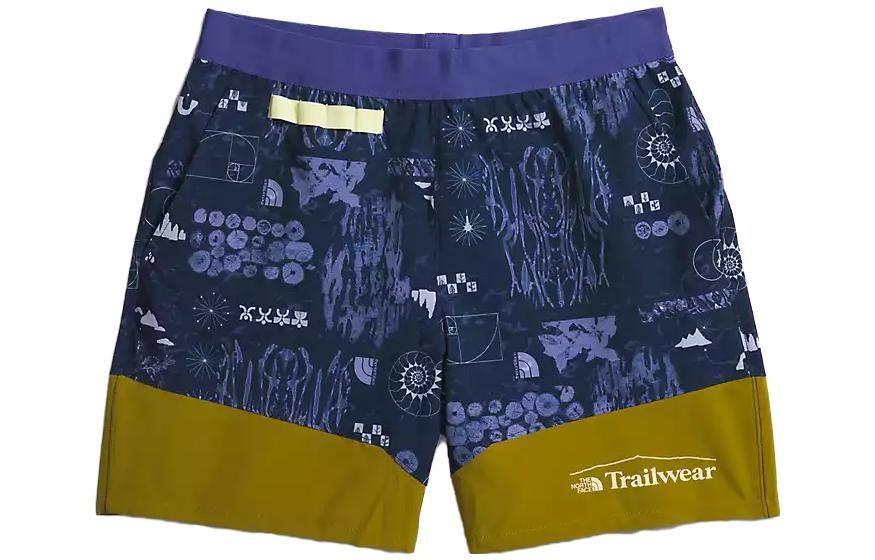 

Спортивные шорты мужские многоцветные The North Face, цвет Multicolor