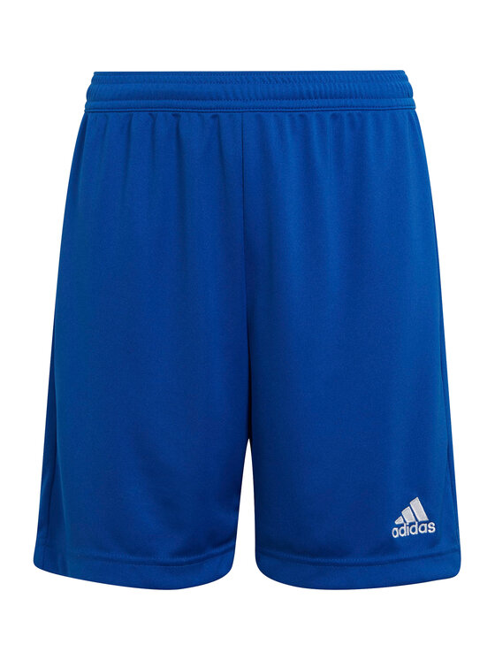 

Спортивные шорты regular fit Entrada 22 HG6291 Adidas, синий