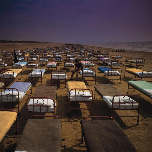 

CD диск Pink Floyd: Momentary Lapse Of Reason