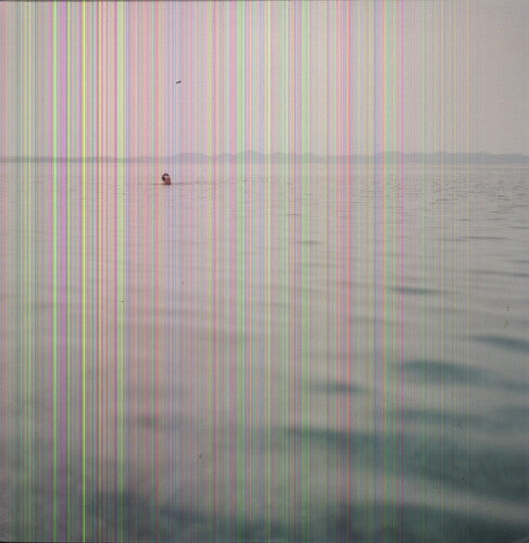 

Виниловая пластинка Blue Cranes: Swim