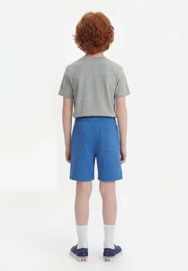 Детские шорты mapleton Dickies, Delft — фото 2