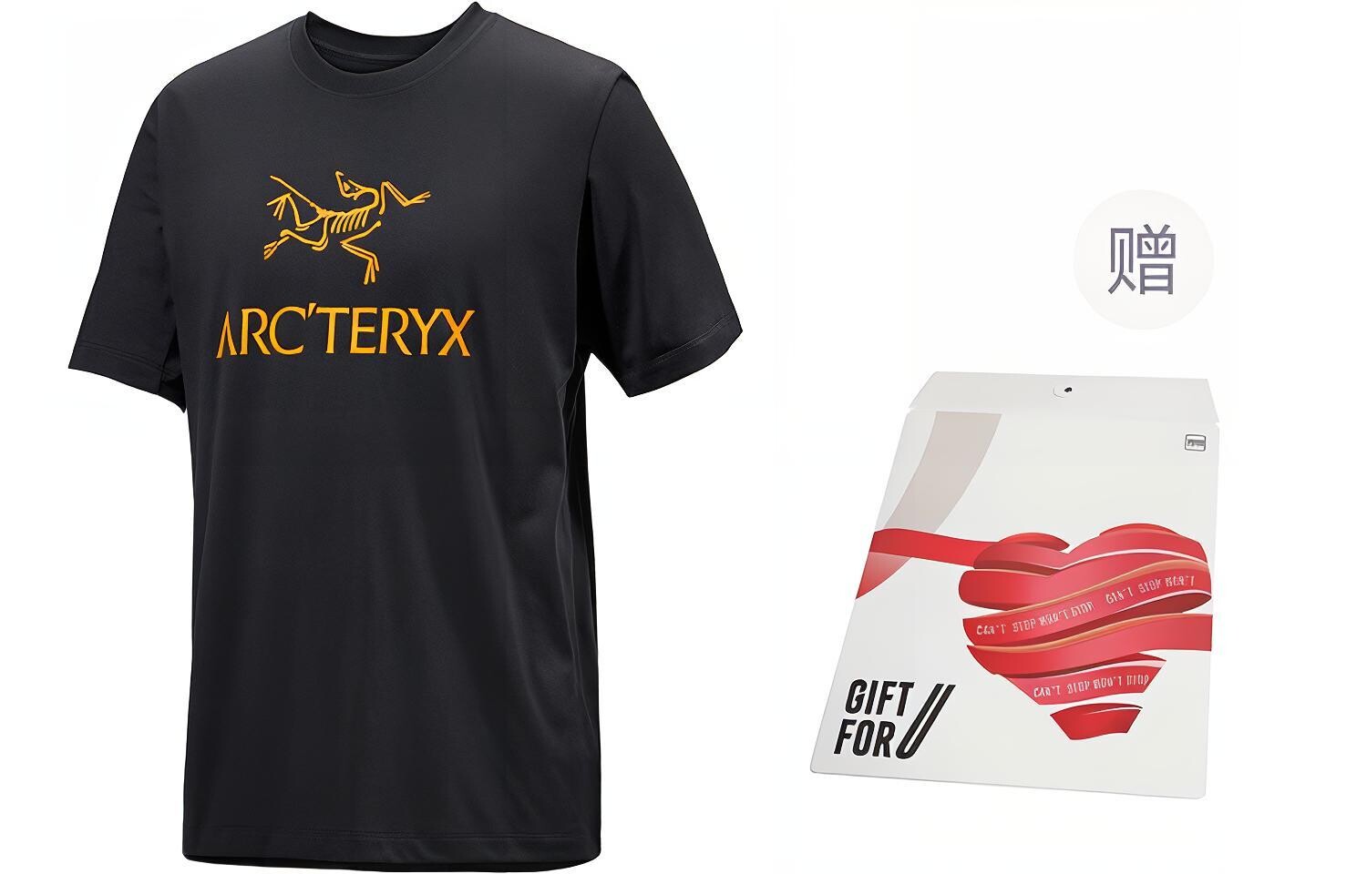 

Футболка мужская Emblem Arcteryx, черный