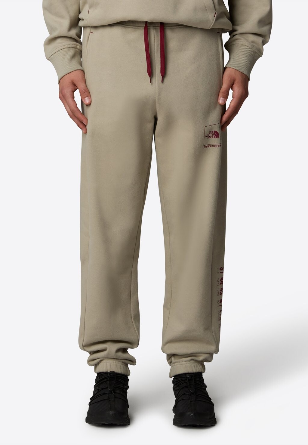 

Спортивные брюки The North Face, темно-серый