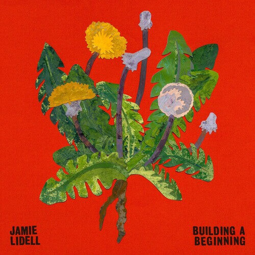 

CD диск Lidell, Jamie: Building A Beginning