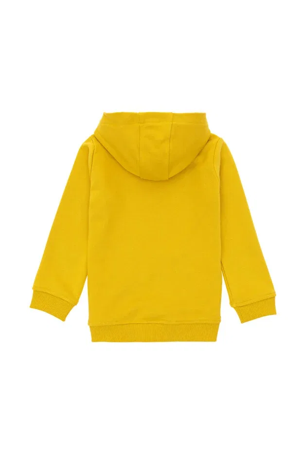 Детские свитшот для мальчиков с капюшоном U.S. Polo Assn., Dark Yellow — фото 2