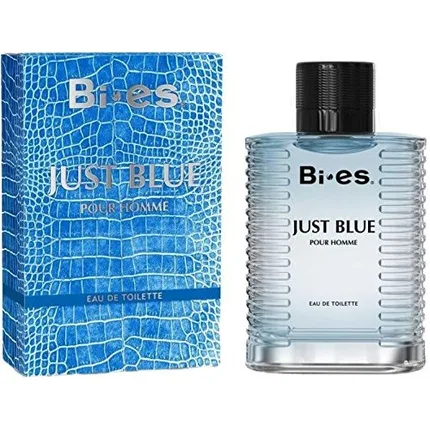 Мужская туалетная вода Blue Bi Es