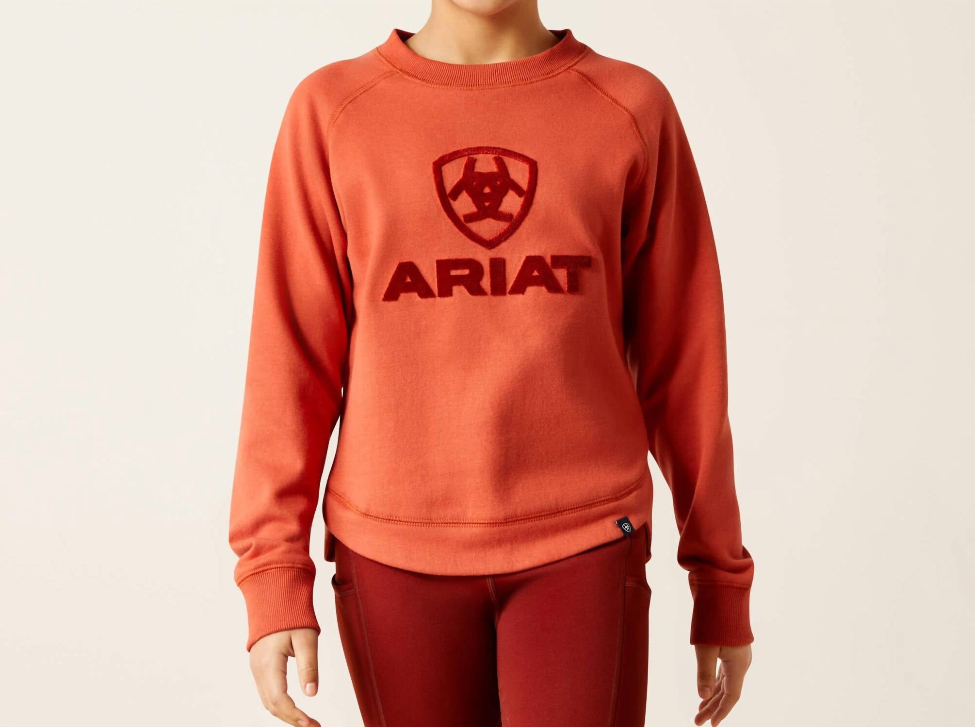 

Детская толстовка Benicia в кирпичном цвете ARIAT, Brick