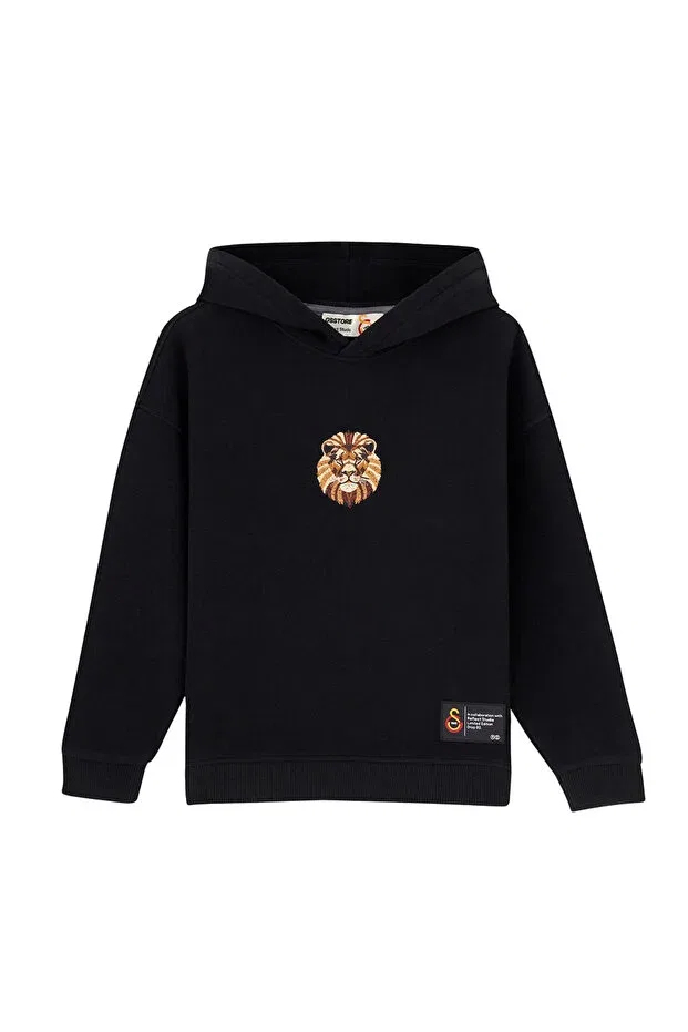 Детское худи для девочек хлопковое X Reflect Studio Lion Kids Hoodie Gsstore, 142329